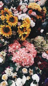 Tumblr Wallpapers Pinterest Pinterest Planodefundo Tumblr Wallpapers Bloem Behang Bloem Achtergrond Prachtige Bloemen
