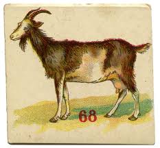 This lesson is a suggested guide to help you create a lesson for your. 8 Goat Images The Graphics Fairy