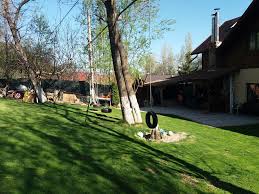 Adaugă locaţie (companie, magazin etc.) în incinta acestei clădiri. La Busu In Bran Ne Au PlÄƒcut È™i Oamenii È™i Locul Revista Din Lemn