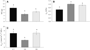 #35 tendência agora • 22.2k tweets • explorar 'ana lúcia menezes' e outras tendências em mais de 400 locais em todo o mundo. Evidence Of Drought Memory In Dipteryx Alata Indicates Differential Acclimation Of Plants To Savanna Conditions Scientific Reports