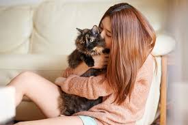 Older cats, obese cats, or cats with musculoskeletal issues should be given special attention and brushed well especially in their back area, as they will likely long haired cats can also really benefit from regular grooming, as they may require a bit more work to keep their coats healthy and clean. 17 Small Cat Breeds Cat Sizes And Personality Traits