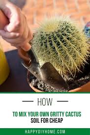 Today we will look into making your own all purpose or the universal soil mix for succulents and cacti. How To Mix Your Own Gritty Cactus Soil For Cheap Happy Diy Home
