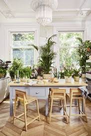 Mercilesplantes S Installe Chez Simone Le Temps D Un Week End Green A Paris Jardin Interieur Decoration Plantes Interieur Plante