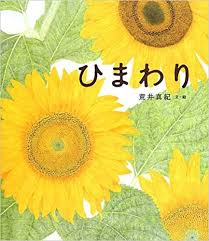 絵本 ひまわり 作 絵 荒井真紀 植物