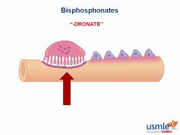 Image result for Bisphosphonates