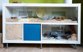 Ikea Board Mod At My Livingroom Hamster Cages Hamster Cage Rat Cage