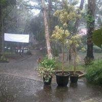 Menguasai hidup mereka dan page. Kanfak Psikologi Uksw Technical Institute Salatiga
