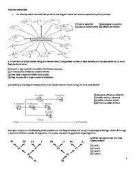Use This 25 Question Worksheet With Questions About Evolution Natural Selection Darwin S Finches Dna And Pr Biology Worksheet High School Biology Evolution