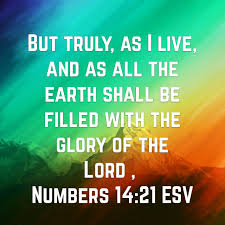 The earth shall be filled with the glory of the LORD. Bible quote ...