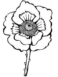 It is called the poppy. Red Poppy Blossom Coloring Page Free Printable Coloring Pages For Kids