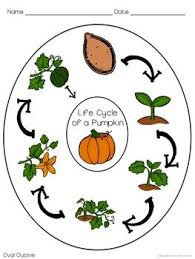 Pumpkins School Art Activities Pumpkin Life Cycle Halloween Kindergarten