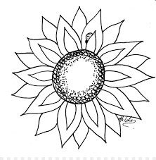 Sketsa gambar bunga hitam putih gambar sketsa hitam putih sumber : Gambar Hitam Dan Putih Umum Bunga Matahari Gambar Png