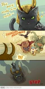Animal Avengers Avengers Marvel Memes Marvel Superheroes