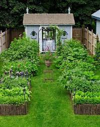 Sesampainya di rumah aku coba buka packing polybag nya dan ternyata isinya lumayan banyak juga yaitu 26 buah. Tips Dan Cara Membuat Kebun Sayuran Di Pekarangan Rumah Garden Cottage Desain Taman Sayur Halaman Belakang