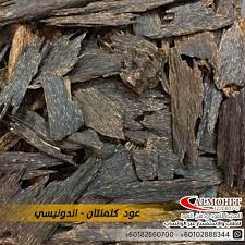 pin on عود