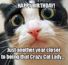 Witty Cat Happy Birthday Meme 2happybirthday Happy Birthday Cat Cat Birthday Memes Cat Happy Birthday Meme