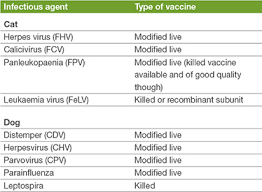 Some even push for annual shots. Vaccination On Patients On Immunosuppressive Medications And Chemotherapy