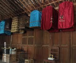 Jenis dan harga yang bervariasi membuat burung dara bisa dijangkau oleh. Dika Bf Boyolali Beli Pejantan 8 Juta Sudah Beranak Jadi 50 Juta Om Kicau