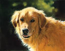 Lang June 2016 Wallpaper Love Of Dogs Golden Retriever Art Dog Art Dog Portraits
