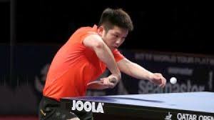 Table tennis day 4 results: Fan Zhendong S Equipment Racket Rubbers Tabletennis Reference