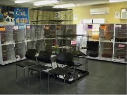 Facility Design And Animal Housing Uc Davis Koret Shelter Medicine Program Shelter Design Animal Shelter Design Animal Shelter