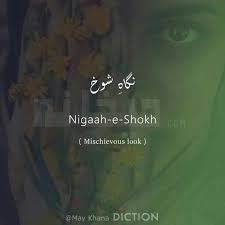 Pin Additri Vanya Ruhaniyat In 2020 Urdu Words With Meaning Beautiful Arabic Words Hindi Words