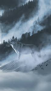 , white wolf hd desktop wallpaper widescreen high definition 1920×1200. White Wolf Phone Wallpapers Top Free White Wolf Phone Backgrounds Wallpaperaccess