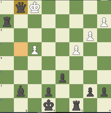 White moves their queen and checks the black king. How Is This Checkmate I Made Mistake And Moved Queen To G1 And Won By Checkmate Can T King Take Queen App Bug Or Am I Missing Something Chess
