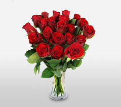 Bouvardia in 2020 bouvardia flowers, wedding flowers. Send Flowers Across Germany Same Day Florist Delivery Flora2000