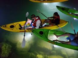 Egmont key is another beautiful waterway near st. Glass Bottom Kayak Led Illuminated Tours Airbnb