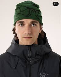 ARC'TERYX Bird Head Toque Eden Black Hat Beanie Knit Cap Green Rare 2024  New JP