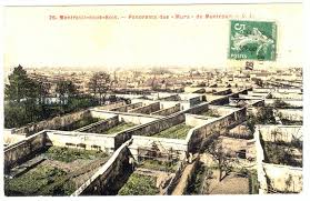 Artificial Microclimates Nature Within Walls In Montreuil And Garden History Paris Urban Garden