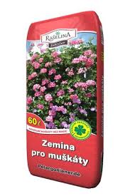 Image result for foto muškáty