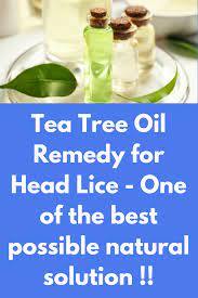 Tea Tree Oil Remedy For Head Lice One Of The Best Possible Natural Solution One Of The Most Commo Tea Tree Oil Tea Tree Oil For Acne Natural Acne Remedies