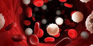 Image result for Hematologic Cancer