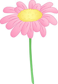 Pretty Pink Daisy Flower Cartoon Flowers Flower Clipart Flower Clip