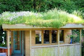 Toit Vegetalise Pour Un Abri De Jardin 100 Ecolo Jardindeco Blogjardindeco Blog Toit Vegetalise Abri De Jardin Toit Vert