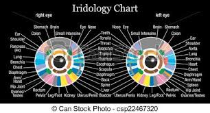 Iridology Chart Black