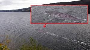 Hay circulando una nueva foto del monstruo del lago Ness, pero adivina qué - Vista al Mar _ Peñíscola _
