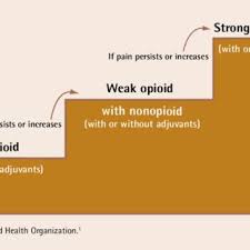 Pdf Is The Who Analgesic Ladder Still Valid