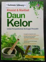 Manfaatkan daun jambu biji untuk hilangkan bekas jerawat, bagaimana caranya. 29 Gambar Daun Kelor Dan Manfaatnya Cari Gambar Keren Hd