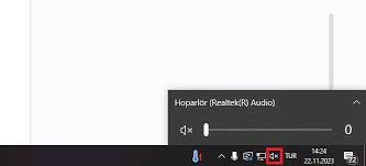 Zoom Audio Not Working: How To Fix The Problem - Ionos