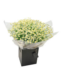Check spelling or type a new query. Daisy Bouquet Vpflowers