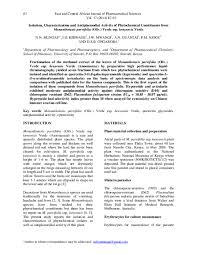 Image result for Monanthotaxis parvifolia