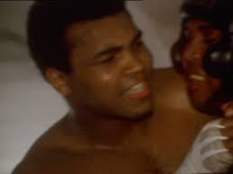 365 Ali Walker Stock Videos, Footage, & 4K Video Clips