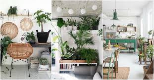 But when considering plants in a room's design, there are a few things to take into account. Find 15 Incredible Indoor Plants Decor Ideas Simdreamhomes