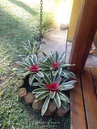 ¿cómo hacer sustrato para cactus? 310 Ideas De Viveros De Plantas En 2021 Vivero De Plantas Ideas De Jardineria Plantas