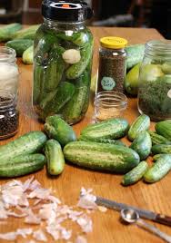 If after the 6 weeks of aging. Probiotic Rich Fermented Dill Pickles Whole Spears And Slices Schneiderpeeps