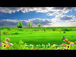 Beautiful Nature Landscape Backround Video Nature Flowers Backround Youtube In 2021 Beautiful Images Nature Beautiful Nature Pictures Beautiful Scenery Nature
