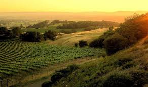 Maybe you would like to learn more about one of these? Top Family Friendly Things To Do In Santa Rosa Ca Minitime